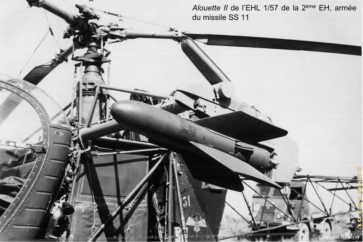 204- ARMEE DE L'AIR EN ALGERIE 1945-1962-52 (52).jpg